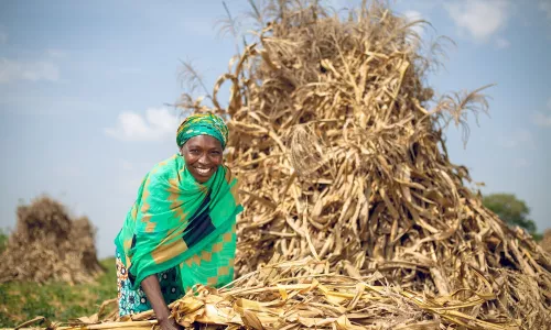 How agricultural innovations are improving livelihoods Image
