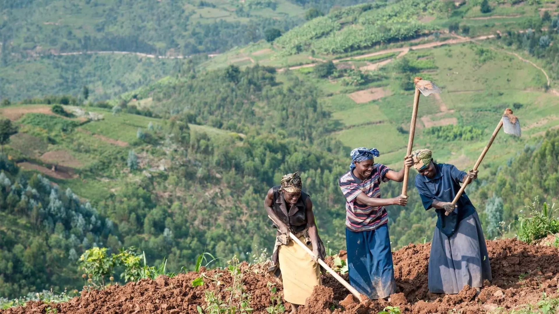 Three Farmers Rwanda original original
