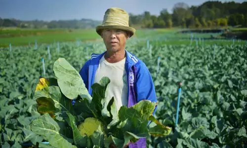 GIF invests in pioneering solar-powered irrigation in Southeast Asia Image